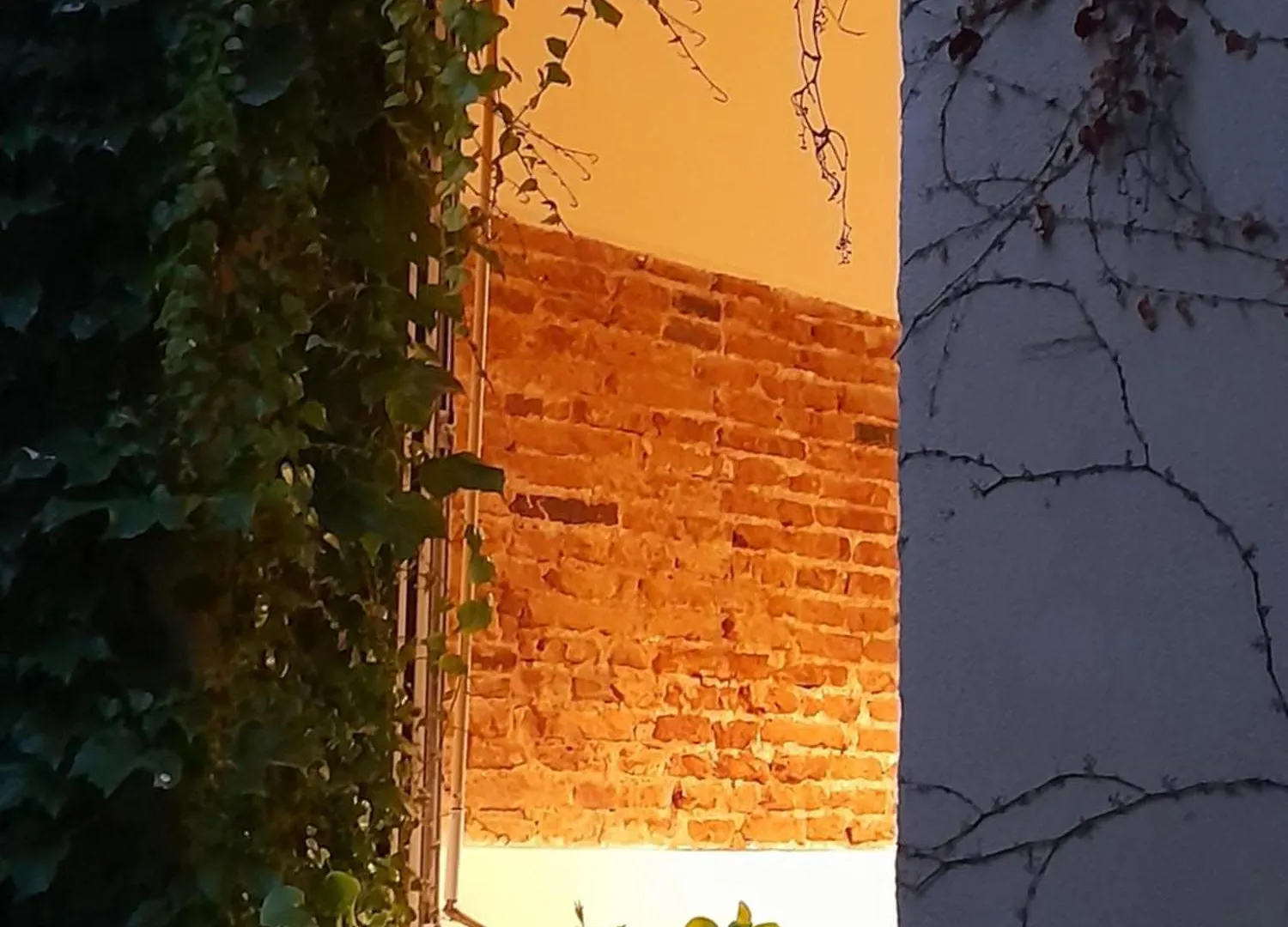 Apartman La Maison De Maila Toulouse